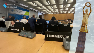 The Luxembourg Competition Authority took part in OECD Competition meetings