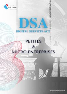 DSA - Guide pratique pour petites et micro-entreprises