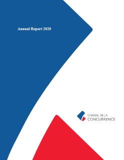 Annual report 2020 of the Competition Council 