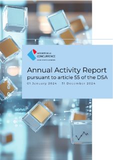 DSA - Annual activity report 2024