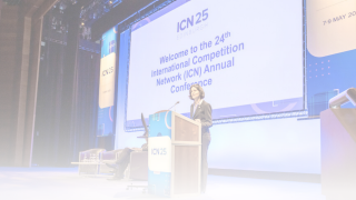 ICN 2025
