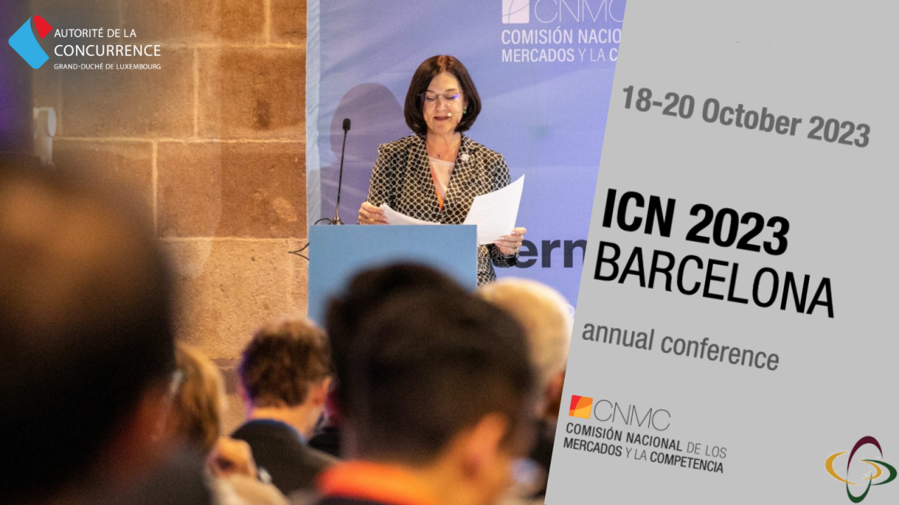 Présidente de la Comisión Nacional de los Mercados y la Competencia Cani Fernandez