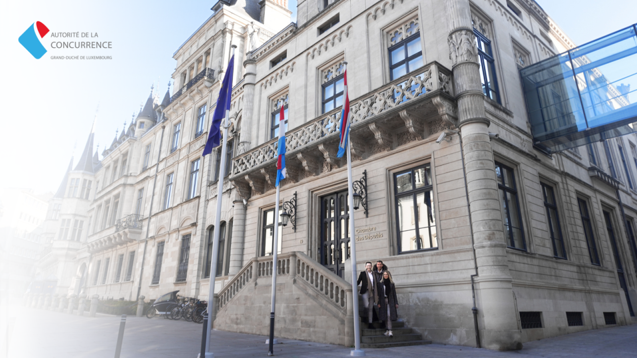 Equipe Plateformes en ligne devant la Chambre des députés